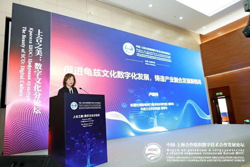 上合之美，數(shù)字賦能 推動(dòng)龜茲文化數(shù)字化發(fā)展，打造產(chǎn)業(yè)融合新格局